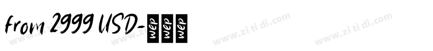 from 2999 USD字体转换
